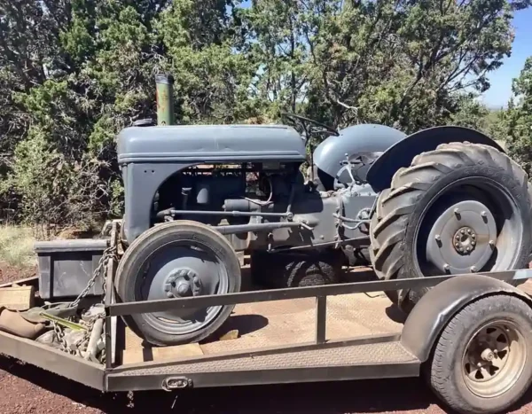 tractor-8N-ford-farm