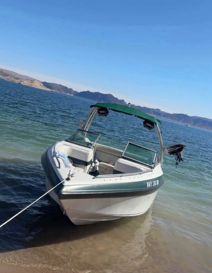 2001-Crown-line-225br